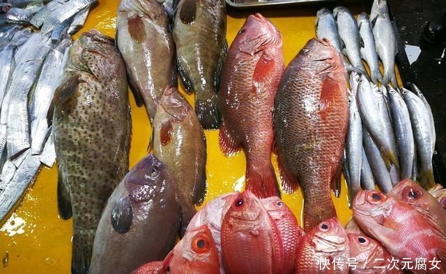 价格|以后去市场买这5种鱼,连鱼铺老板都会夸你是行家