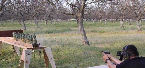 败下阵来|自动步枪甚至能打穿防弹衣,却在菠萝面前败下阵来