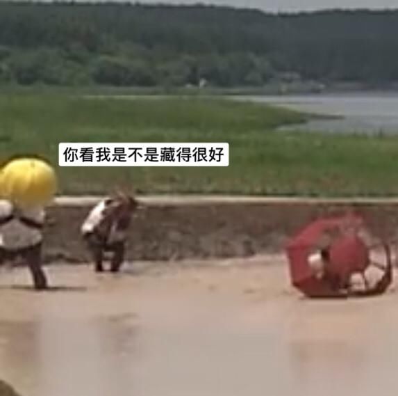  精彩|200731《奔跑吧》泥潭木头人游戏精彩上演 拿到破伞的坤坤实力演绎无助又可怜