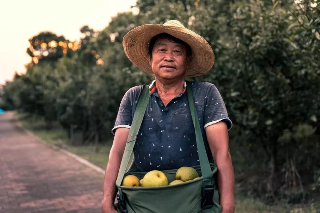 台风|台风来临前,拥抱园区的盛夏!