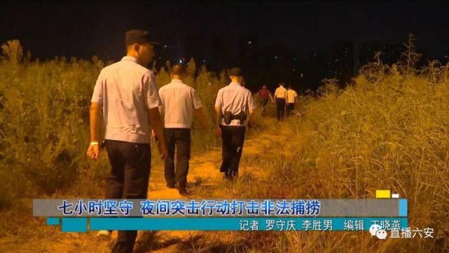 打击|昨夜7个小时的坚守，突击打击了一批非法捕捞！