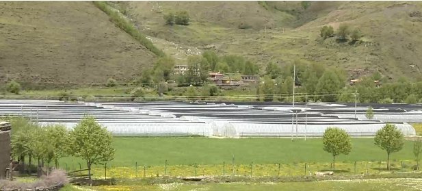  公开审理|公开审理！康定法检“两长”齐上阵，开庭审理非法猎捕案