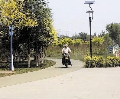  公园|有人骑电动车快速穿行