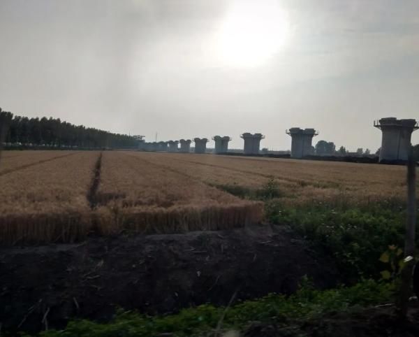  夏天|【津评乐】遇见夏天，醉美卜庄