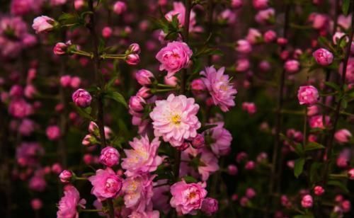  钱财|恭喜，生日是农历这六天的人，一生大吉大利，百事顺利，钱财多多