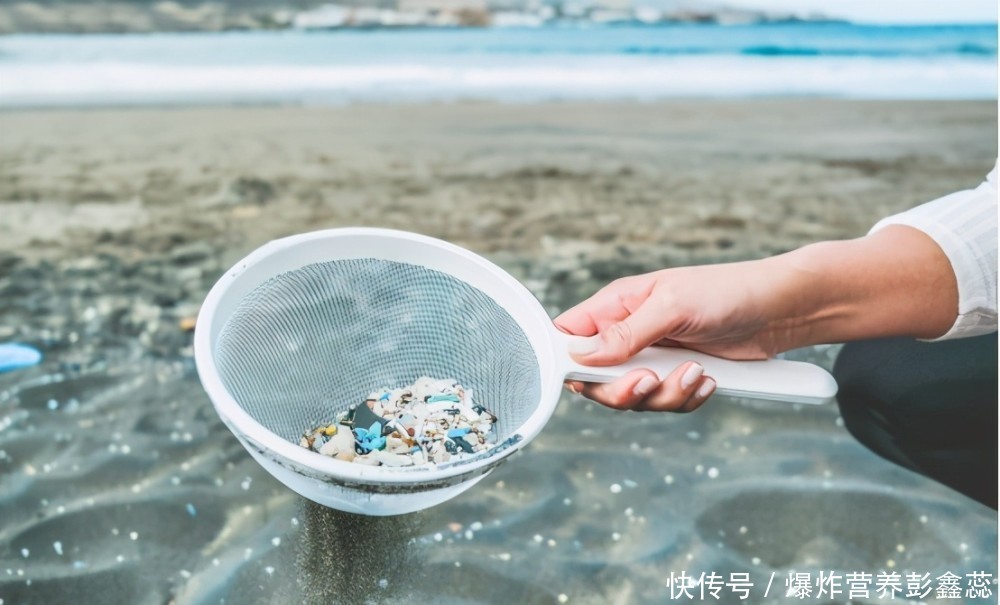 “微塑料”是什么，这些食物中含有“微塑料”？经常吃的人要当心2023