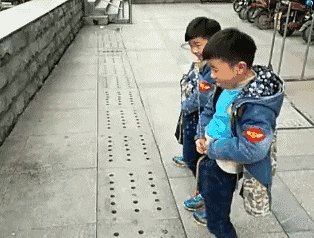  鸡成|搞笑GIF：这只鸡成精了吧！这么高还敢飞，真把自己当鸽子啦