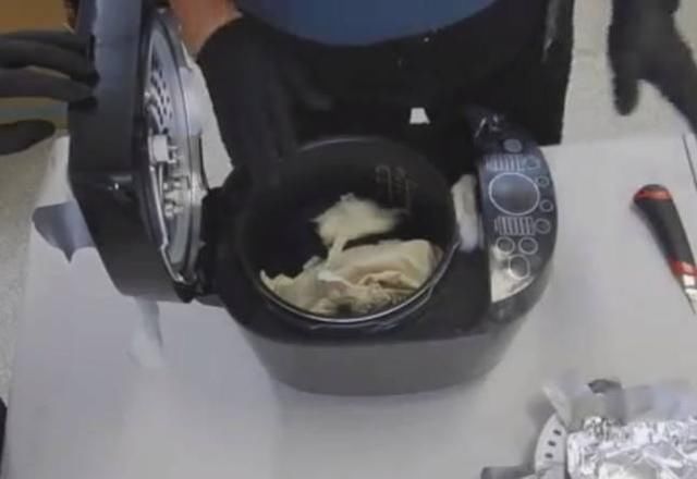  电饭煲|澳海关查获运往中国活体蜥蜴，藏于电饭煲内仍被发现