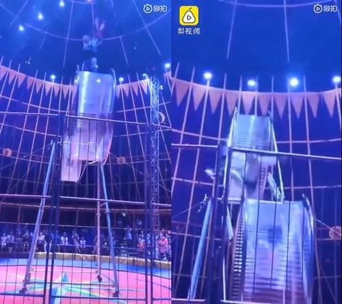 金额|特技演员8m高空坠地 脚勾到钢管惨死 曝赔偿金额家属绝望了