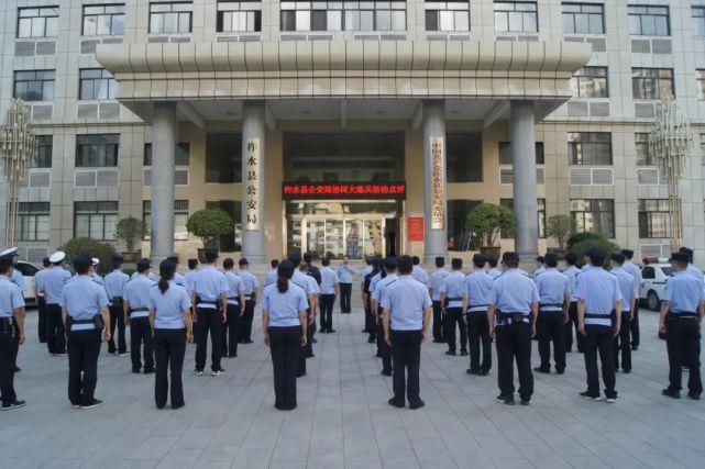 练兵|无人机、特警出动，柞水协同练兵场面超燃！