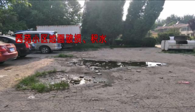 创城|曝光台 | 公共设施遭破坏,城市文明很“受伤”