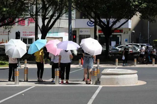 深圳|路牙消失了？这里或将成为深圳首条慢行示范道路