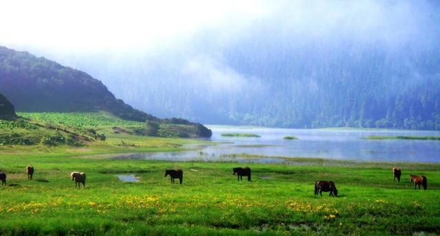  导价的A级|请收下，这是一份很长很全很美的暑期游云南攻略