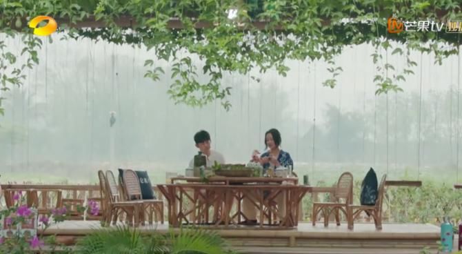  综艺|《向往的生活》收官，又一档高开低走的综艺，问题出在哪里？