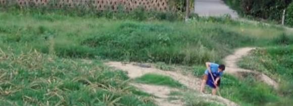  韩国|大华退出《向往的生活》，在韩国却被捧成音乐天才，是谁的原因？