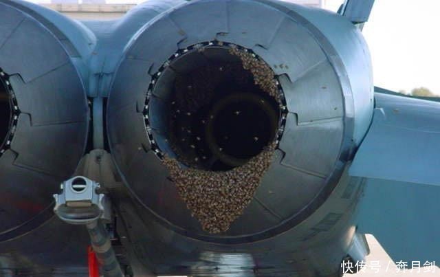 政治|军事搞笑系列,带你感受别样的欢乐