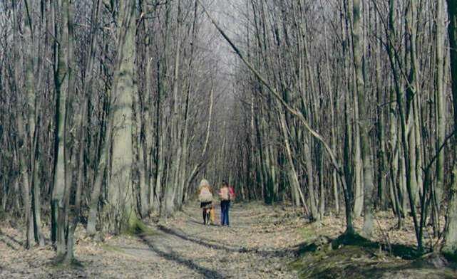 带走|拾荒男酒后带走邻居家女孩将其祸害：再多的善意也养不熟作恶的狼