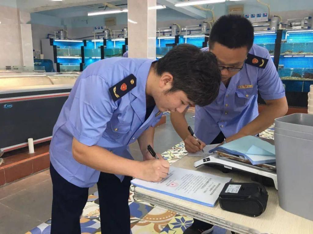  攻坚小分队|沧浪！热浪！奋进的力量！