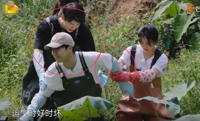  救护车|《向往》嘉宾挖藕，镜头无意间照到远处的救护车，节目组太用心了