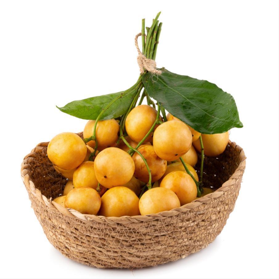 夏天吃黄皮果有什么好处和坏处(夏天常吃点“黄皮果”，5个好处或不请自来，但有5个事项要注意)