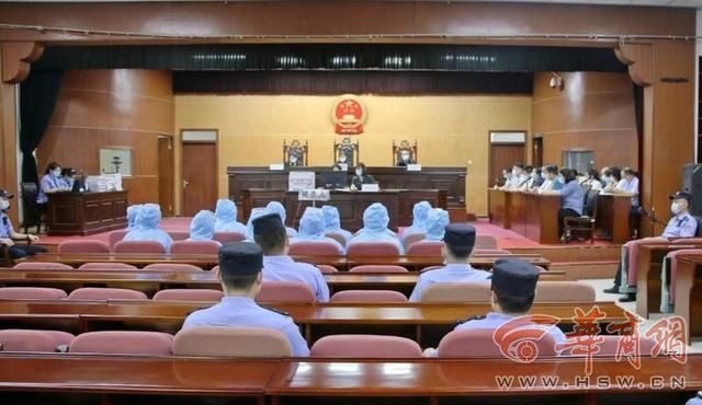  故意|被控共同故意实施33起犯罪活动 恶势力犯罪集团12人受审