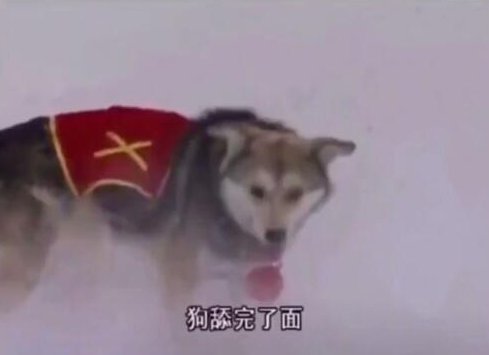 浪费|在日本餐厅吃不完要道歉：生而为人,我吃不下