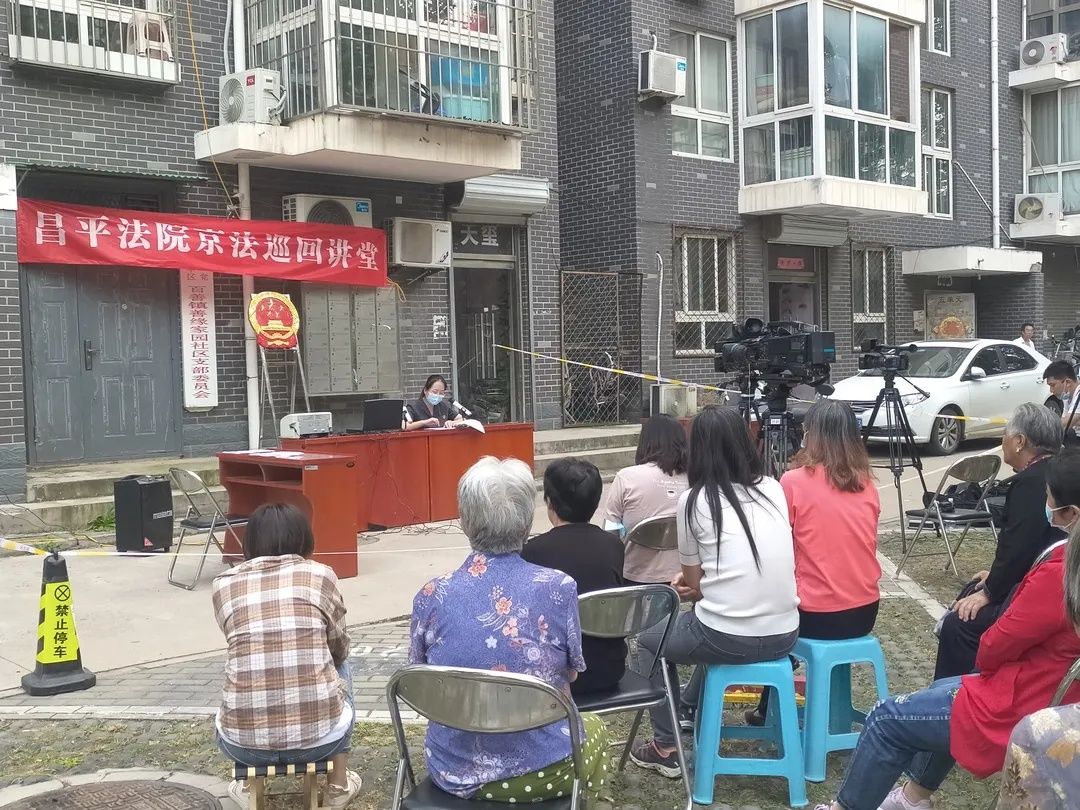 邻居|邻居对簿公堂竟是鸽子惹的祸？看法官如何就地化解纠纷