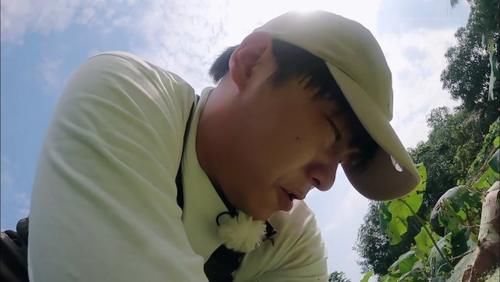  张子枫|只有怼脸拍，才知道张子枫有多精致！彭昱畅表示退出群聊！