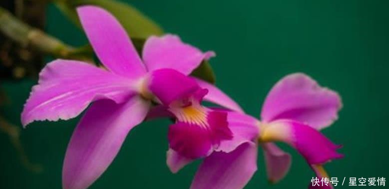 财神|8月开始财神请进门,赚得到钱,子孙满堂的四大生肖