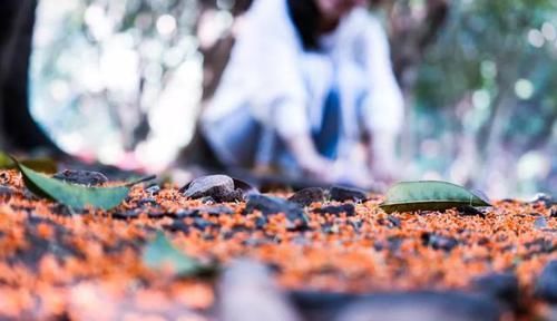  杭州|去了杭州才知道，这才叫生活