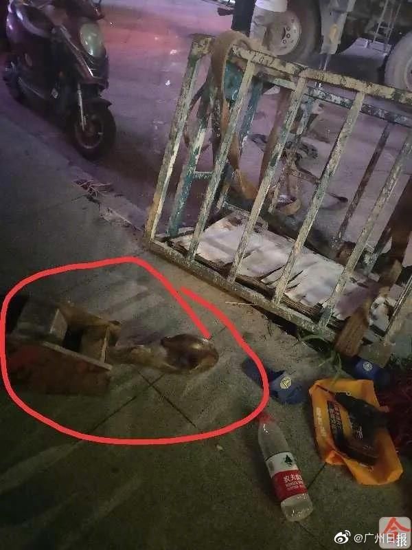  吊篮|广西柳州两工人高空换招牌，连同吊篮一起坠落！