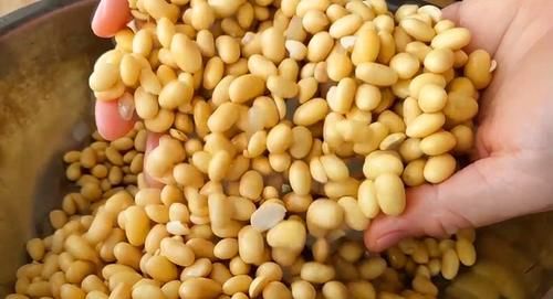  配方|自制香菇黄豆酱，做法和配方毫无保留告诉您，放三个月都不坏