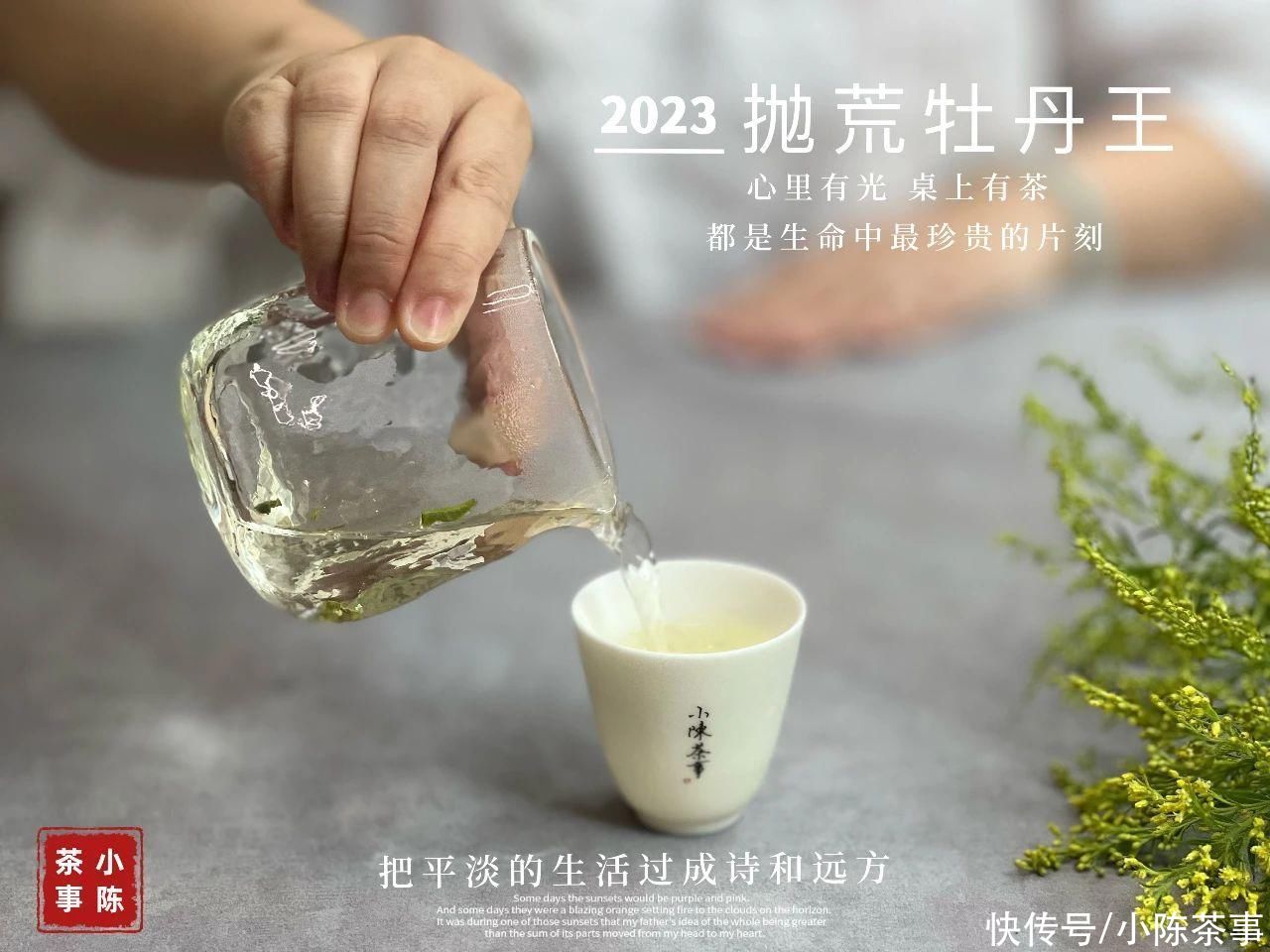 陈皮白茶加虫草(从“陈皮”到“虫草”，白茶加料背后，藏着茶掌柜的哪些小心思？)