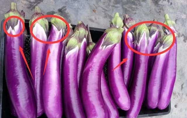  油腻|炒茄子总吸油？多加一步，不油腻、不发黑，很实用的技巧！