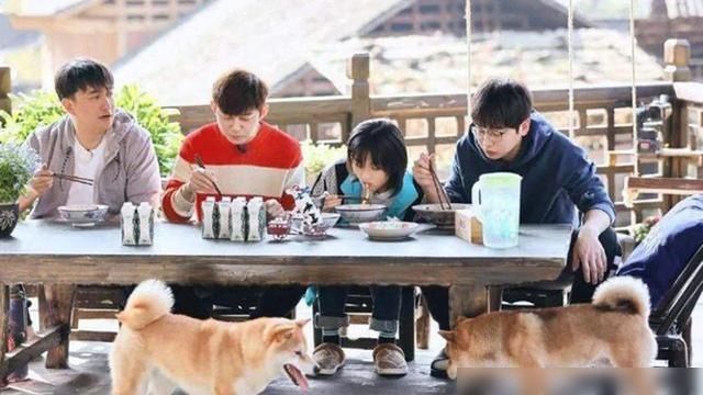  穿帮|穿帮了？《向往的生活》遭质疑替身做饭，导演仅用八字就解除危机