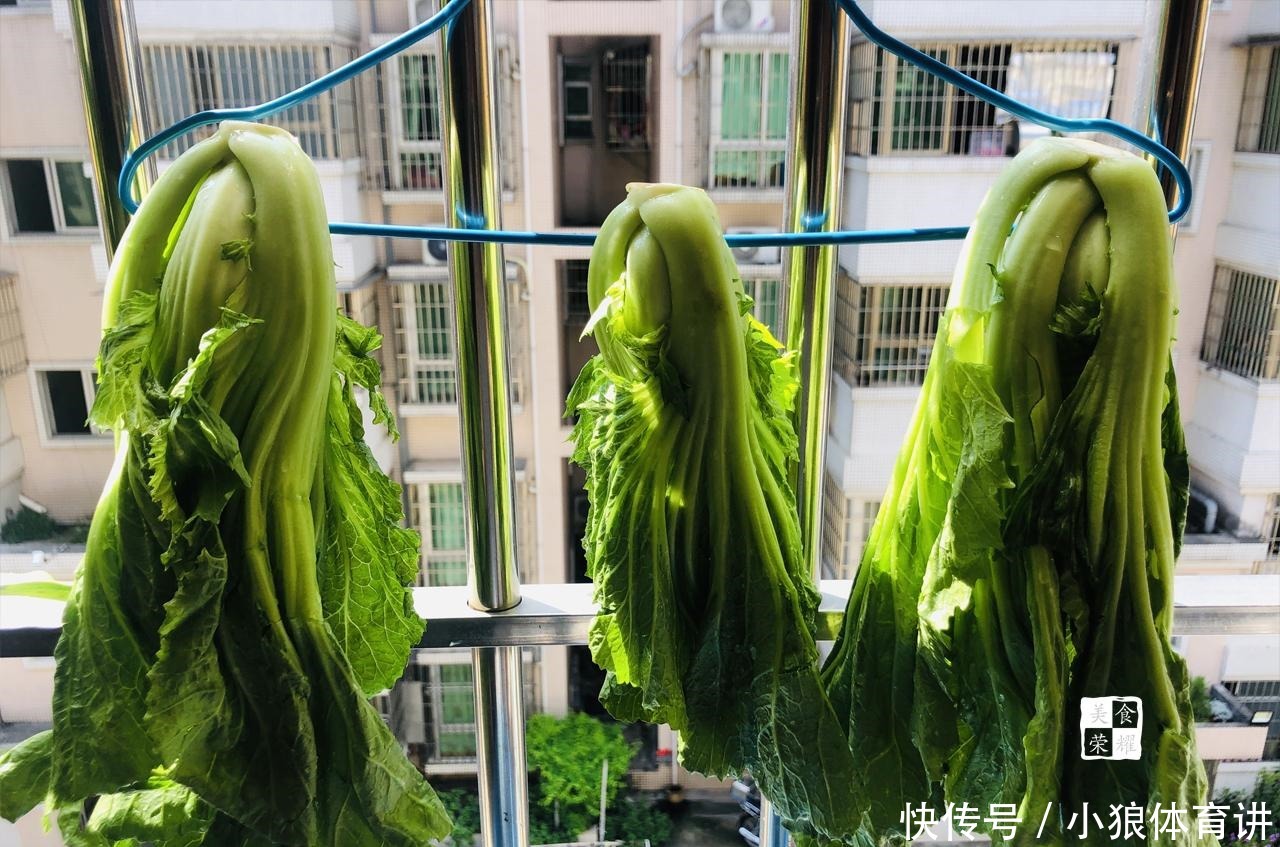 自制|在家自制咸酸菜,酸脆可口,做法简单易上手,趁秋天干燥多做一些
