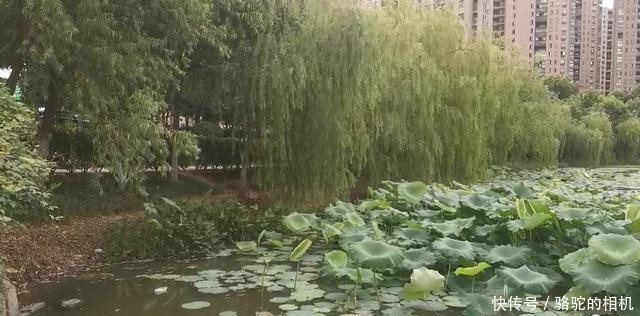  老人|傍晚！余杭一七旬老人倒在河道旁边，脸色苍白……