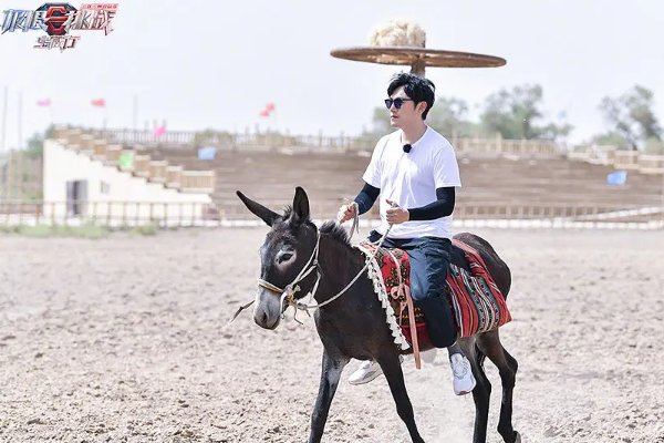  节目|《极限挑战》凉了，但这档衍生节目真的是“宝藏”