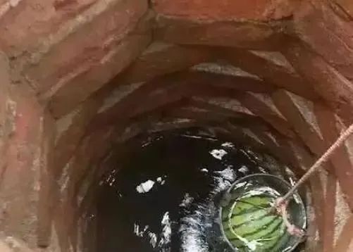  完别|三伏天，西瓜没吃完别放冰箱！