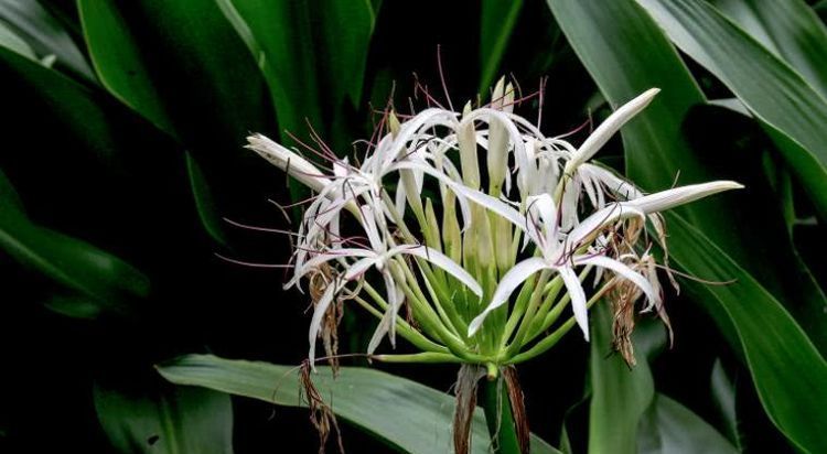 属相|8月开始横财滚滚来,事事顺心,美梦能成真的四大属相