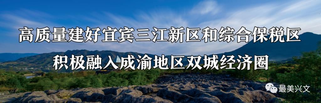 巡游出租汽|兴文正在严查！已查获87起！！