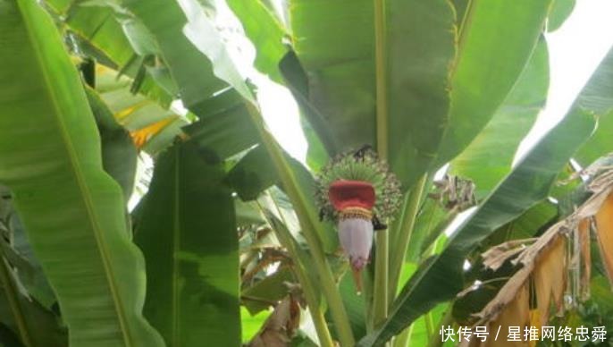 频传|九月上旬开始,喜报频传,财运暴涨,财喜两旺的生肖