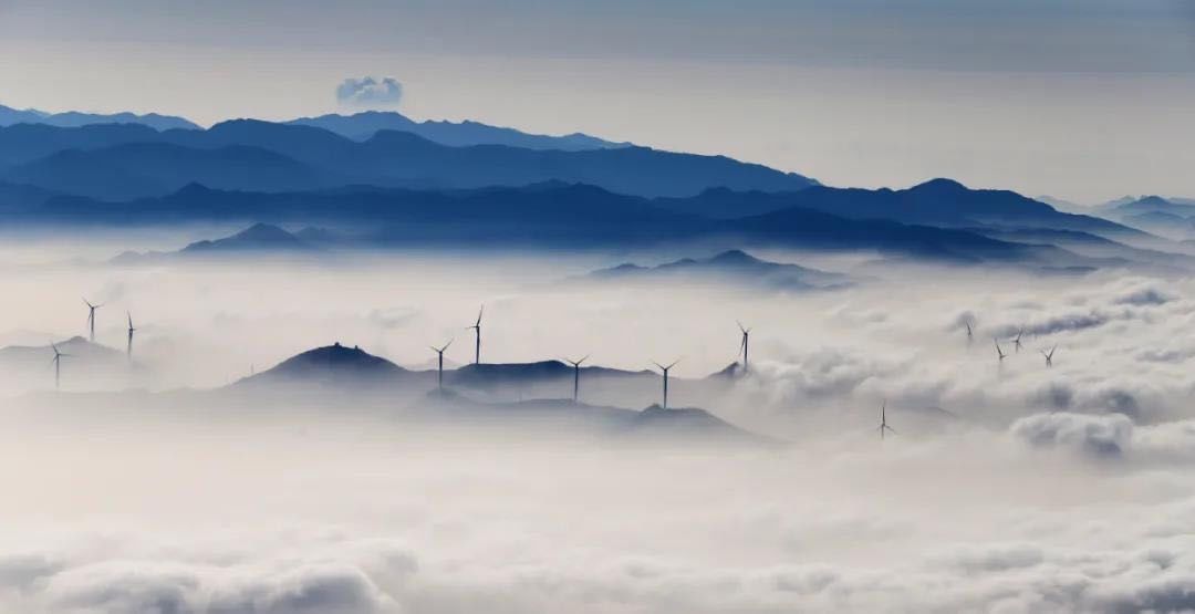  景区|王莽岭景区看点