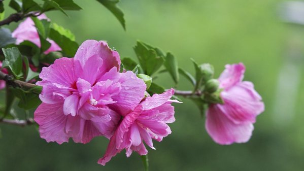 俗话|俗话：吃亏是福，但人到中年有4个亏不能吃，不然后半生不得安宁