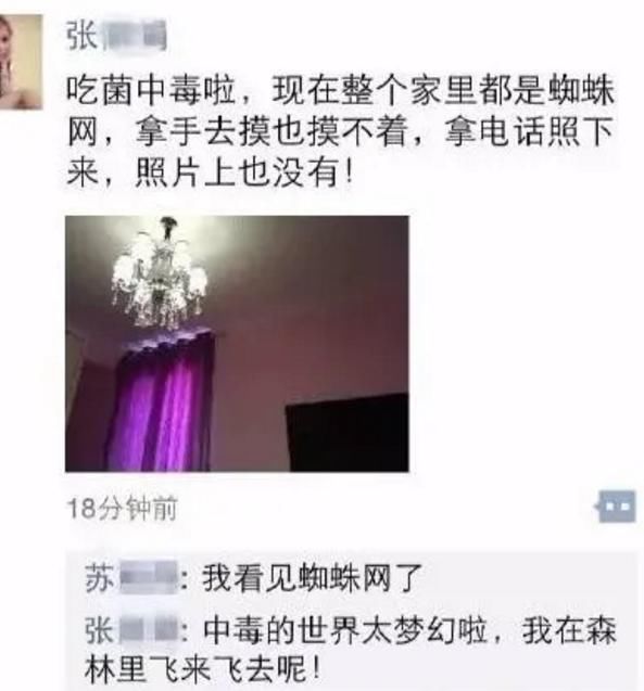  蘑菇|这种食物后劲太吓人！女子吃完看见“小精灵”？