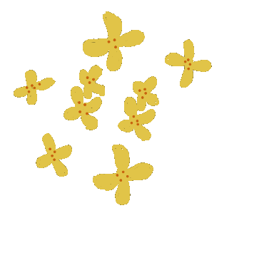 秋天|当桂花“遇见”美食,一顿桂花宴让你“吃掉”整个秋天!