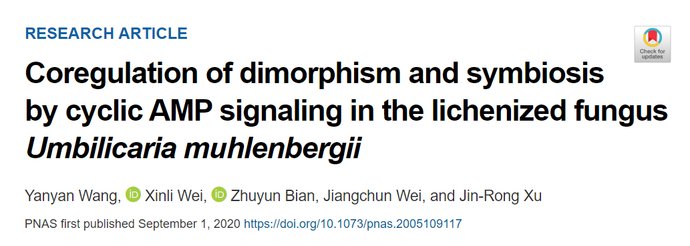 共生|PNAS | 魏江春院士课题组在调控地衣型真菌形态转变与共生方面取得重要进展