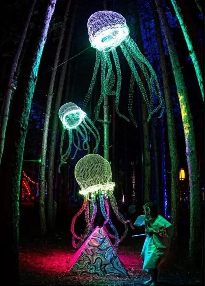 友好城市|青年友好城市营造 | 听说了吗?武侯区也能看极光啦