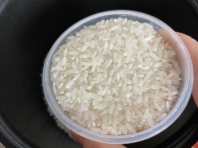  米饭|如何做出粒粒金黄的蛋炒饭？大厨手把手来教你！秘诀其实很简单