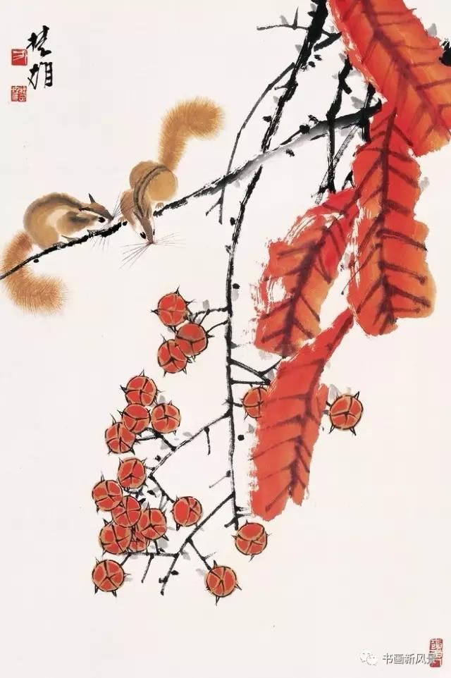  松鼠|看他画的小松鼠，绝对是一种享受！